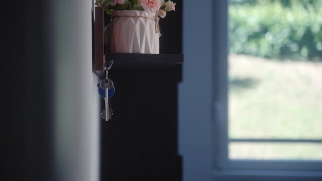 Hanging House Keys on Wall Hook