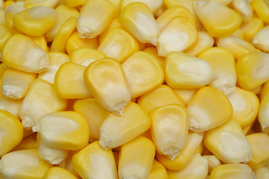 Raw corn kernels for cooking