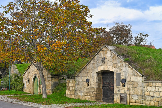 Traditional stone wine cellars with green earth roofs in the historic Kellergasse of Purbach am Neusiedler See, Burgenland, Austria