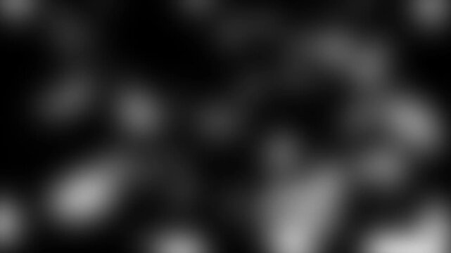 Abstract Black and White Blurred Light Background bokeh