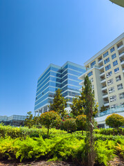 Bright day in a modern city with tall buildings and green plants in the foreground © DSMT