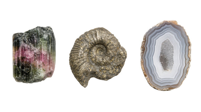 Collection of crystals and fossils on a transparent background