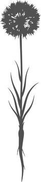 Flat vector silhouette of a dandelion puffball flower with roots