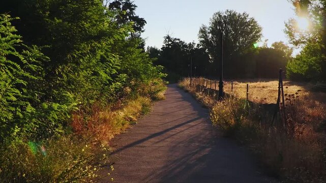 POV walking along park path lit by warm morning sunlight