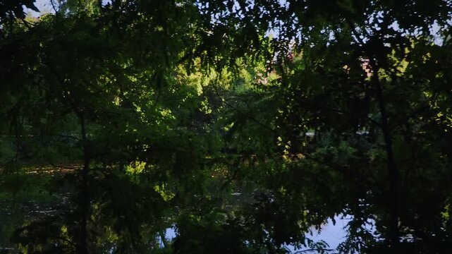 Side tracking shot along a calm river framed by dense green trees and foliage