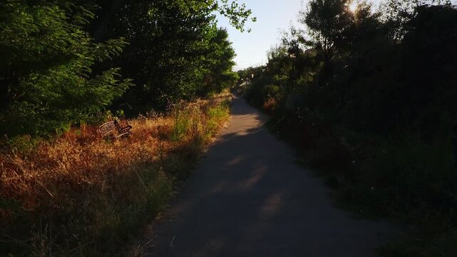 POV moving along a rustic walkway with shadows and green foliage
