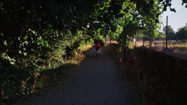 Back view of a cyclist enjoying an outdoor ride on a paved park trail at sunset