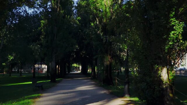 Walking POV down a quiet, shaded park trail with dappled light in the distance