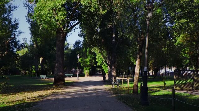 POV shot walking through a sunny public park framed by large trees and green lawns