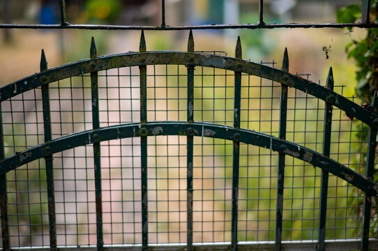 View through a green gate with a metal frame leading to a grassy area with pathways
