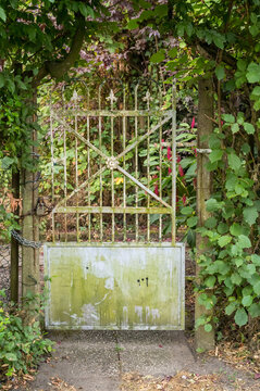 Old garden gate with rusted metal and overgrown plants in a private garden