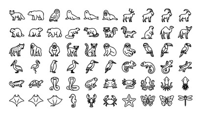 Obraz premium 50 Animal Habitat Wildlife and Nature Editable Outline Vector Icons