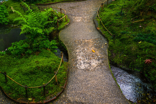 Pathway in forest garden and footpath,Tranquil river scene with mossy rocks,nature rainforest,Waterfall in Garden landscape design space for text.