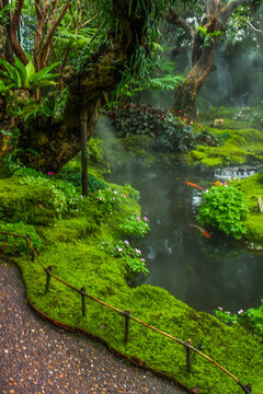 Tranquil river scene with mossy rocks and morning mist in forest,dreamlike atmosphere in the woods,waterfall in nature rainforest concept.