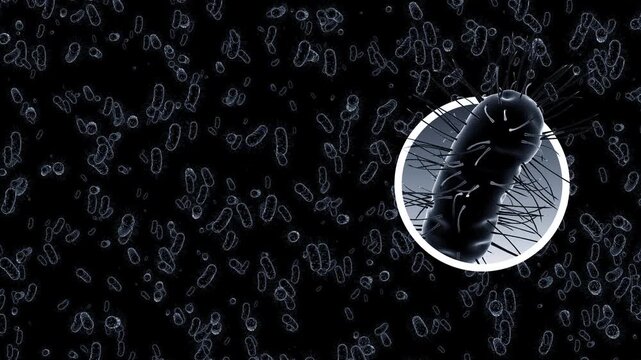 Dynamic background of bacteria and viruses suitable for medical research