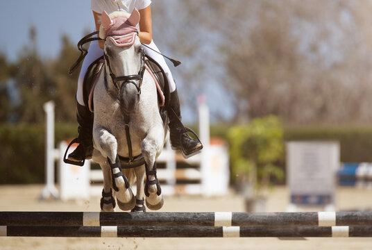 Jockey on her horse leaping over a hurdle, jumping over hurdle on competition