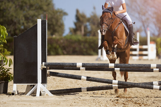 Jockey on her horse leaping over a hurdle, jumping over hurdle on competition