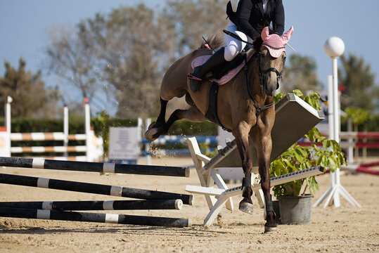 Horse in a jumping fails at the obstacle, the whole obstacle fell,  over a jump rider about to fall