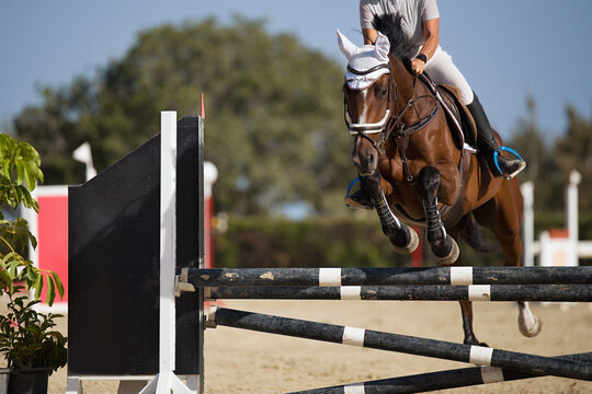 Jockey on her horse leaping over a hurdle, jumping over hurdle on competition