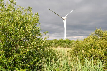 Wind turbine in Killorglin, Ireland © Nenad Basic