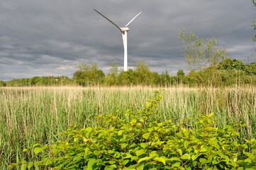 Wind turbine in Killorglin, Ireland © Nenad Basic