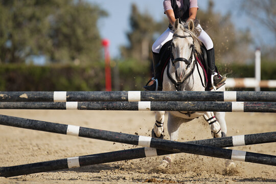 The white horse is refusing to jump an obstacle, over a jump rider about to fall