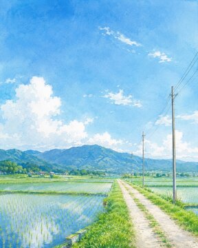 入道雲がわく夏空と水を張った田んぼの間を抜けるあぜ道、日本の田園風景を描いた水彩イラスト（縦構図）
