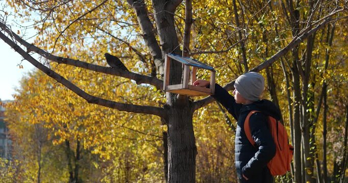 Happy boy independently feeds birds in wooden feeder hanging from tree in autumn park. Outdoor experience encourages responsibility, empathy, independence and connection with nature and wildlife.