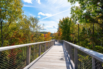 Fototapeta premium Sentier des cimes Laurentides, Montreal, Canada