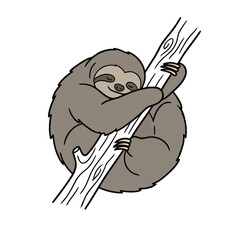 Naklejka premium Sloth hanging on a tree branch