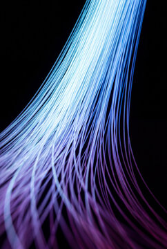 Flowing fiber 3D bundle fading from white to violet