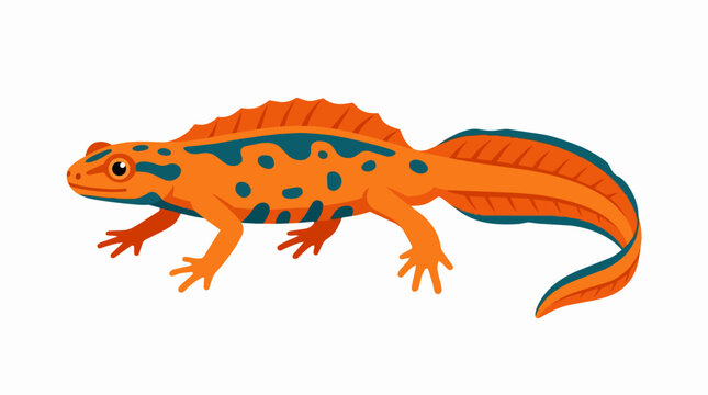 Colorful Orange Salamander Illustration with Dark Spots and Stripes Isolated on White Background for Wildlife Projects