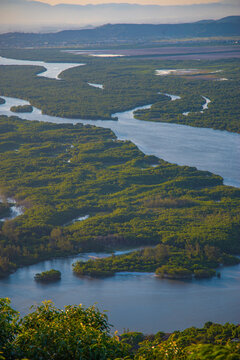 Vertical view of a winding river in a green mangrove forest of Rio de Janeiro Brazil