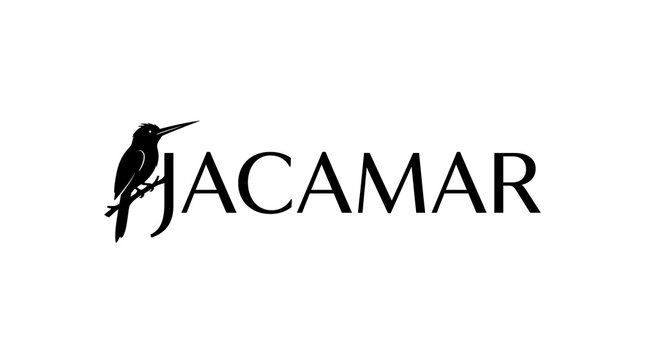 Elegant Jacamar bird logo design with sleek typography on white background