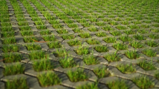 Permeable concrete grass paver driveway showing a sustainable eco-friendly parking lot surface for proper drainage and beautiful modern garden landscaping design