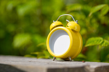 On an old wooden bench stands a bright yellow retro alarm clock. Instead of a dial, there’s an empty space for text. © Elena