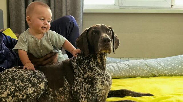 Father holds his baby beside a German Shorthaired Pointer dog on a bed at home, family bonding, pet companionship, peaceful domestic lifestyle.