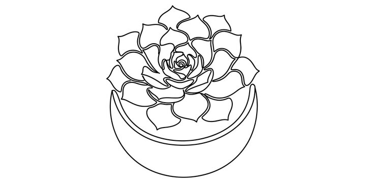 Simple line art drawing of a small succulent plant growing in a round ceramic pot for interior home decoration design