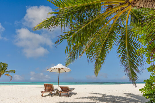Breathtaking tropical beach umbrella sunbeds palm trees turquoise lagoon white sand blue sky. Perfect summer vacation travel landscape resort. Luxury honeymoon couples getaway relax scenic paradise