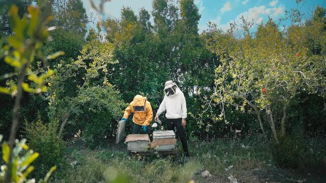 cinematic shot of Beekeeper looks frame from a bee hive for honey. Some bees in the air in the garden with blurry cloudy blue sky in the background.