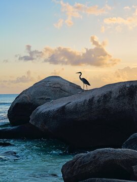 Sunset in Seychelles (Mah&eacute;, Seychelles)
