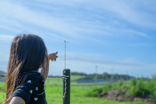 東北の牧草地で柵に止まったトンボを指差す少女の後ろ姿｜広めの構図で見せる好奇心のある子供時代/Girl pointing at a dragonfly on a rustic rope fence, wider angle view of the countryside in Tohoku, Japan