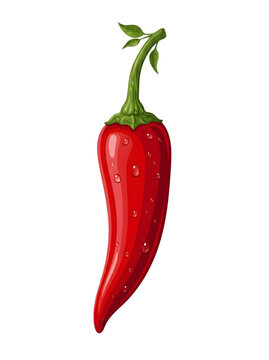 A vibrant and detailed illustration of a single glistening red chili pepper showcasing its smooth skin and captivating form against a stark