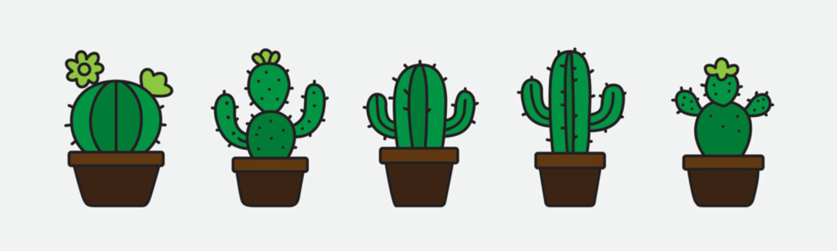 colorful Cactus plant line icons set, perfect. Editable stroke. Vector illustration