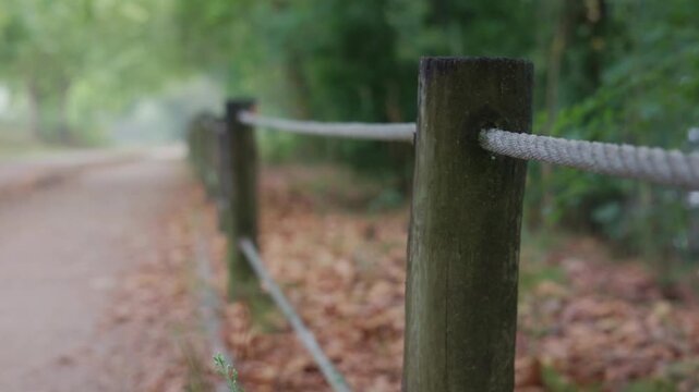 Wooden post with white rope along a forest path