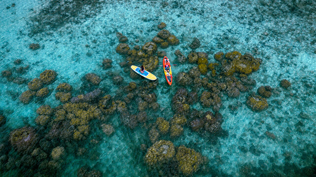 Top aerial view of Group of tourist are enjoy on water sport paddle sup-board with kayaking along at the edge of the sea beach under crystal clear of water in the island of summer trip