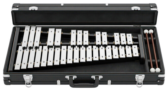 Glockenspiel Musical Instrument in Carrying Case