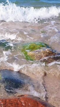Vertical close-up foamy coastal surf with turquoise stormy sea waves rolling on sand beach with wet seaweed covered stones on foreground at sunny summer day. Water surface pattern natural background.