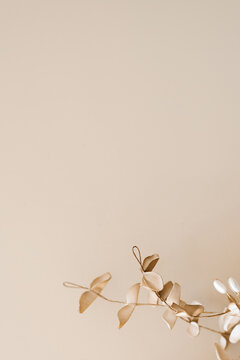 Golden Twigs with Pearls on Beige Background