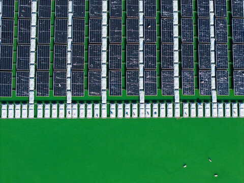 Aerial view of a floating solar power plant with photovoltaic panels mounted on pontoons over green water in Latvia.